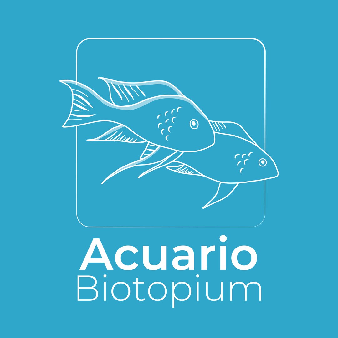 Acuario Biotopium